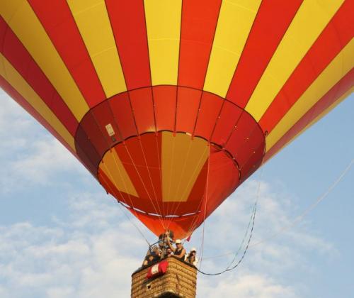 Take-off voor 16 nieuwe lokale netwerken in 2019 Take-off voor 16 nieuwe lokale netwerken in 2019