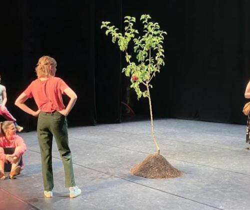 Staging Access: een sleutel tot meer inclusieve cultuurbeleving